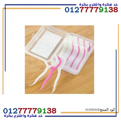 Plastic Toothpick Floss Stick 30 Stick